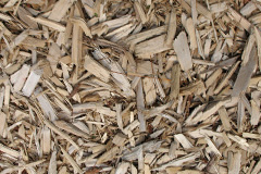 biomass boilers Udimore